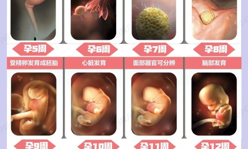 逍遥丸吃法用量网-分享逍遥丸用法用量，逍遥丸的用量一次吃几粒知识库